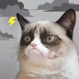 أيقونة Grumpy Cat Weather